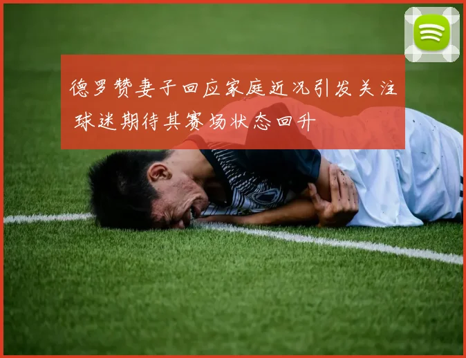 德罗赞妻子回应家庭近况引发关注 球迷期待其赛场状态回升