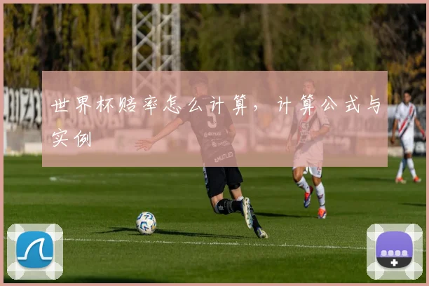 世界杯赔率怎么计算，计算公式与实例