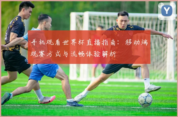 手机观看世界杯直播指南:移动端观赛方式与流畅体验解析