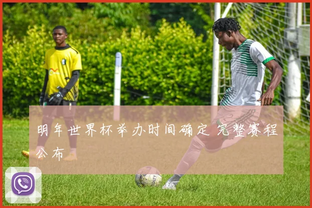 明年世界杯举办时间确定 完整赛程公布