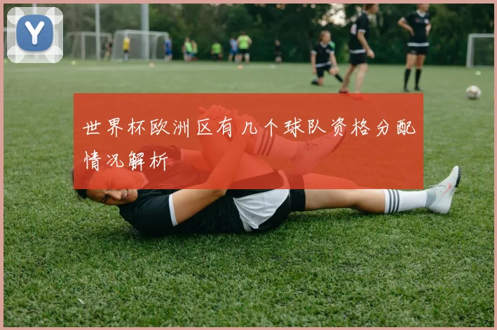 世界杯欧洲区有几个球队资格分配情况解析