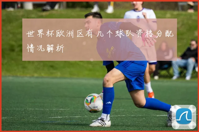 世界杯欧洲区有几个球队资格分配情况解析
