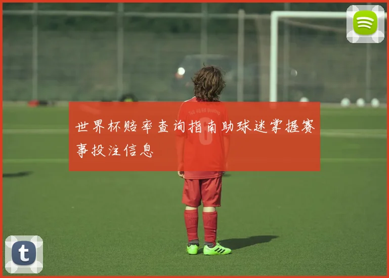 世界杯赔率查询指南助球迷掌握赛事投注信息
